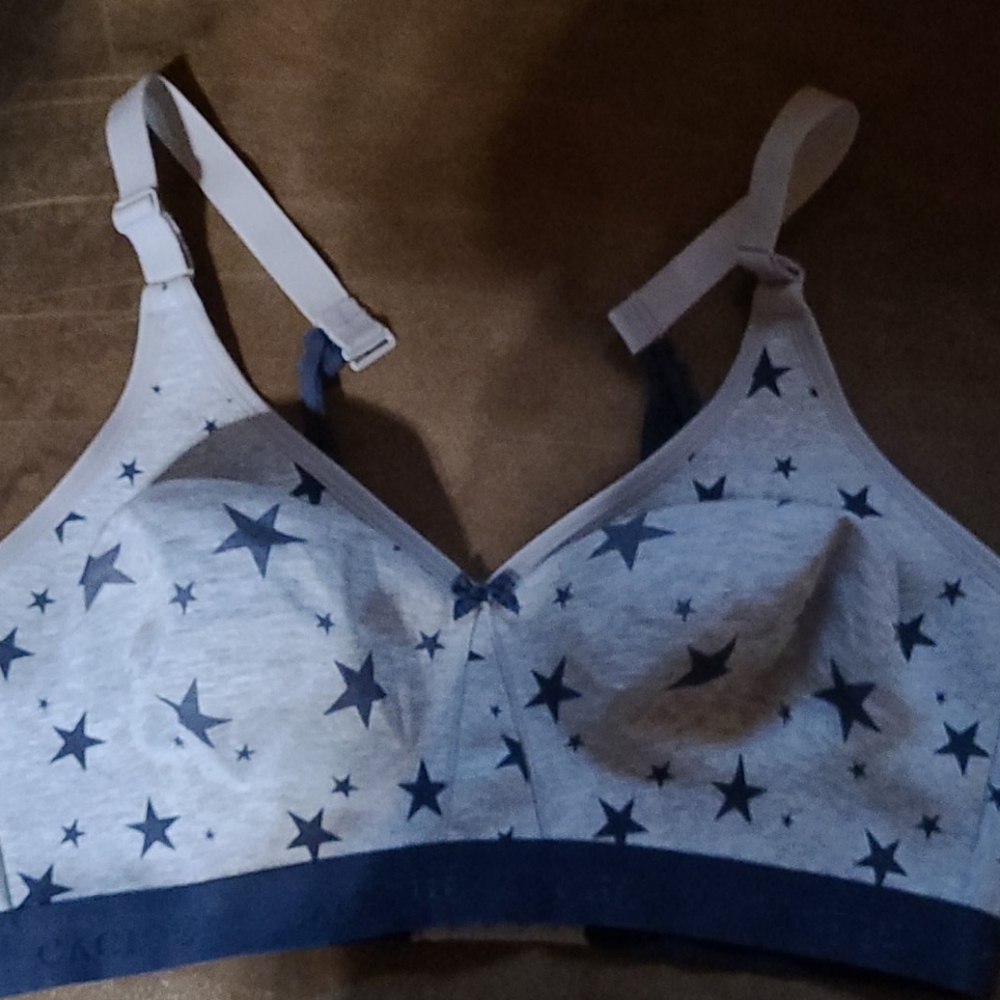 Lane Bryant Bras.
